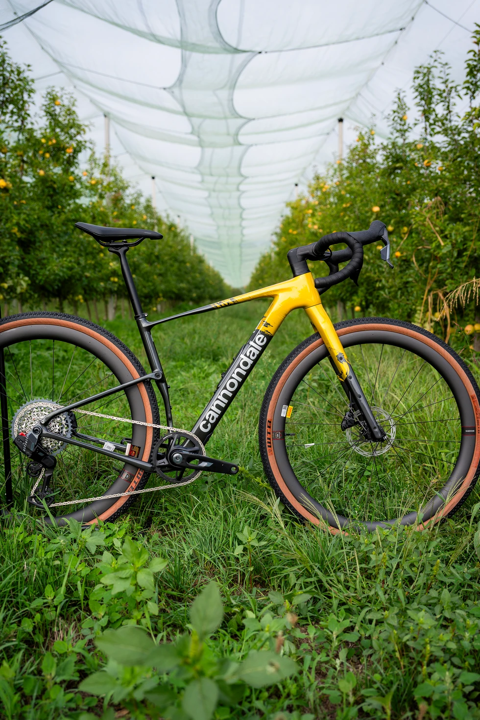 CANNONDALE